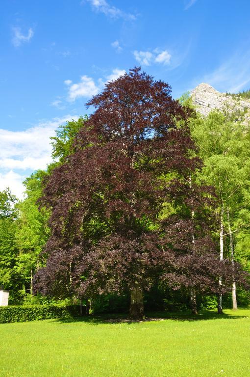 See-hotel Post Am Attersee 4* Weissenbach am Attersee